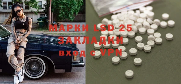 PSILOCYBIN Алзамай
