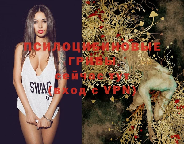 PSILOCYBIN Алзамай