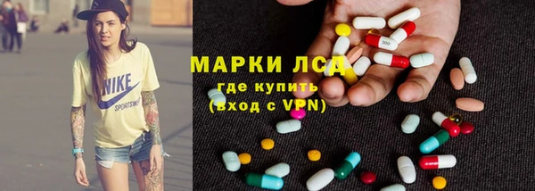 PSILOCYBIN Алзамай