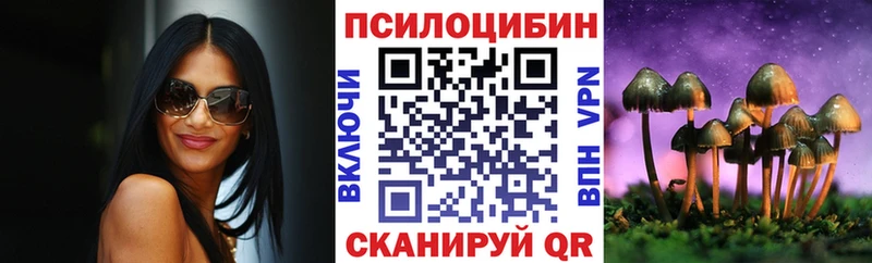 Купить  Старая Русса  Галлюциногенные грибы Psilocybe 